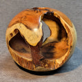 #555 Madrone Ball  (Don Svob)