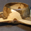 #568 Saturn in English Walnut  (Don Svob)