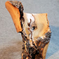 #570 Apple Root  (Don Svob)