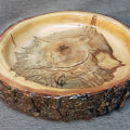 #562 Ambrose Maple  (Don Svob)